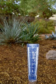 Rain Gauge