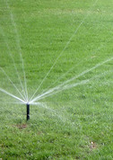 sprinkler head