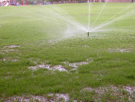 Sprinklers for overseeding