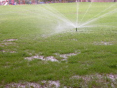 Sprinklers for overseeding