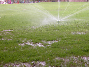 Sprinklers for overseeding