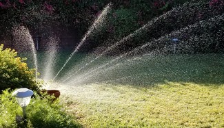 lawn watering