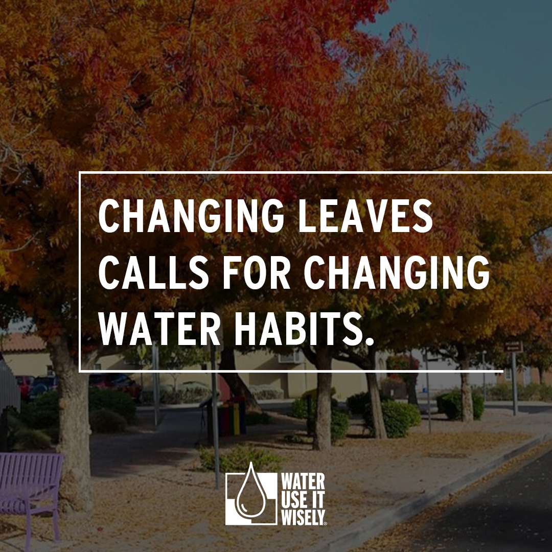 WUIW Changing Leaves