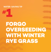 Forgo Overseeding