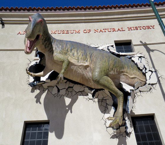 AZ Museum of Natural History Dino