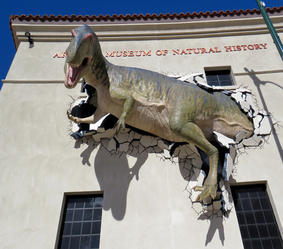 AZ Museum of Natural History Dino