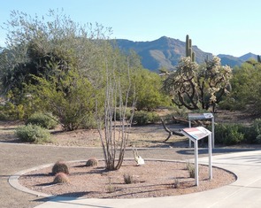 Desert Arroyo Park