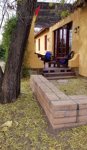 Leaf litter desert willow