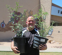 SRP Shade Tree Giveaway