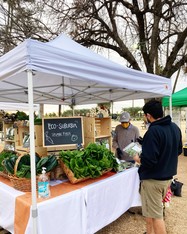 DT Mesa Farmers Market