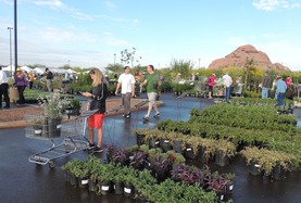 Plant Sale DBG