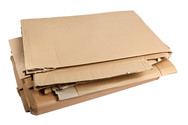 Cardboard