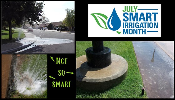 Not so smart irrigation month