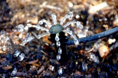 Irrigation drip emitter