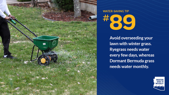 WUIW Tip #89 Overseeding