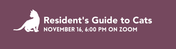 Resident's Guide to Cats