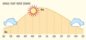 Seasonal Plant Water Needs