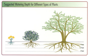 Watering Depths