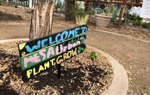 Mesa Urban Garden