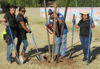 Tree Planting with AZSA