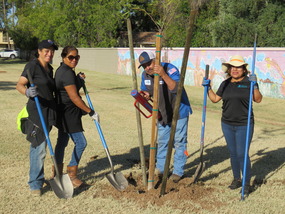 Tree Planting with AZSA