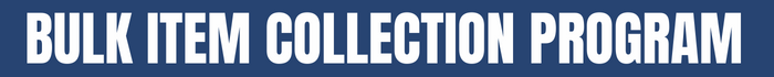 Bulk Item Collection Program