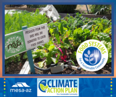 Food Systems CAP graphic