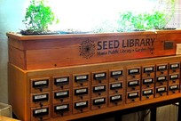Mesa Seed Library