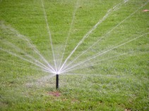 sprinklers