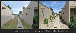 HOA Water Conservation Incentive
