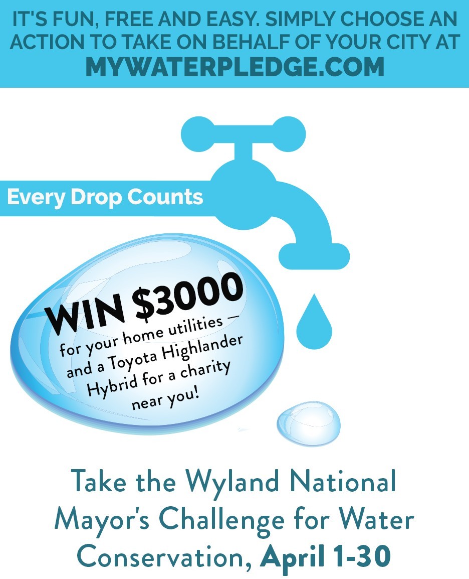 National Mayor's Challenge