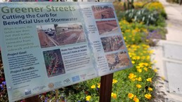 LID stormwater