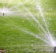 Overseeding sprinklers