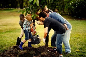 Tree Planting