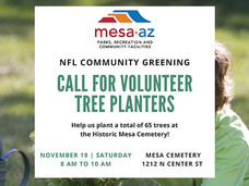 NFL Tree Planting
