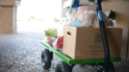 United Food Bank Food Distribution