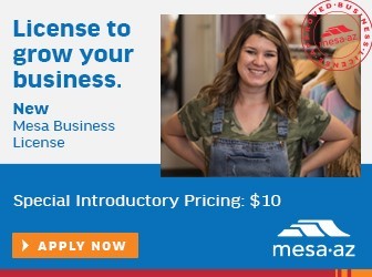 Mesa Business License