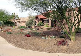 Xeriscape Incentives have Increased