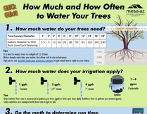 Tree Watering Quick Guide Cropped