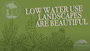 Low Water Use Landscape