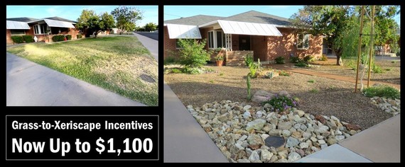 Grass to Xeriscape Incentive