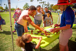 Volunteer at Celebrate Mesa