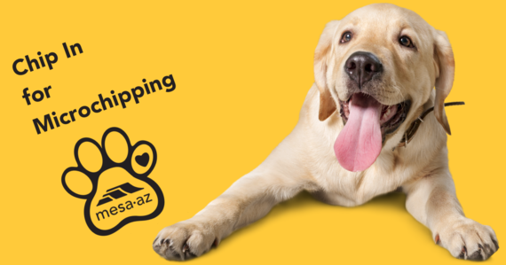 Chip in for Microchipping