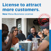New Mesa Business License