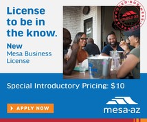 Business License Graphic April 2023