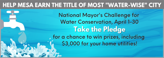 Water Pledge National Mayors Challenge