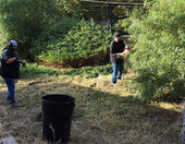 Neighborhood cleanup