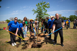 Tree Planting Skyline Park