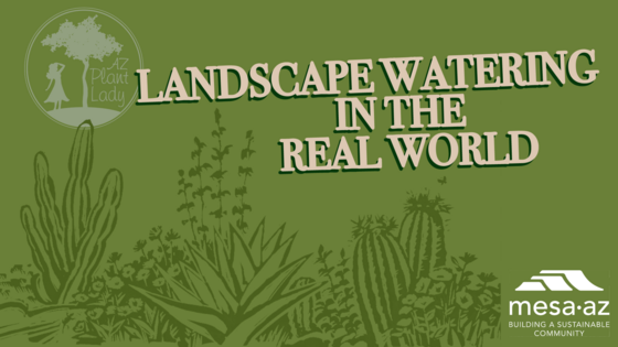 Landscape Watering in the Real World