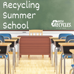 Recycling Summer School